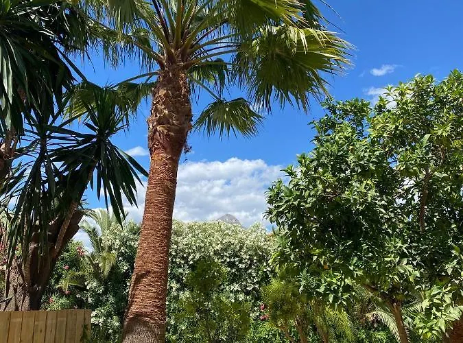 Tulum House - In Nueva Andalucia - Amazing La Concha Mountain View